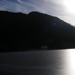 Meet your Posher, Ann